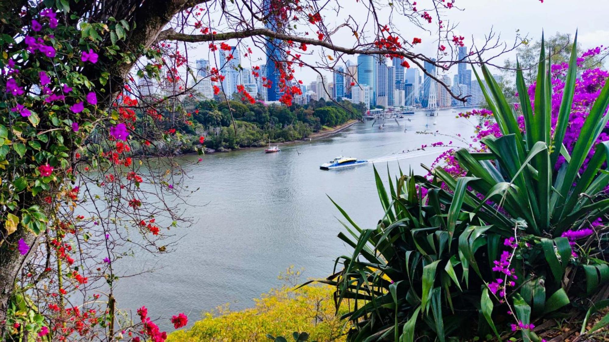 Cliffinn Kangaroo Point Brisbane Eksteriør bilde